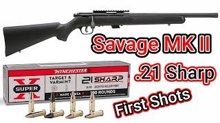 Savage Mark II .21 Sharp First Shots  ( New Rimfire Cartridge )