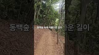 #오솔길 #숲길여행 #걷는사람들 #공곶이 #여행그리기 #여행 #포토존 #산책할때 #아름다운길 #포토존 #풍경그림 #travel #국내여행