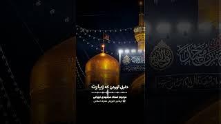 کربلا ثوابش بیشتره یا زیارت امام رضا(ع)؟ | استاد مجتهدی