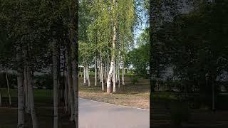 Гуляю.