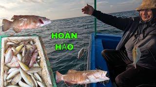 524) BỮA CÂU NÀY RẤT HOÀN HẢO VỚI ỘT RỒI.