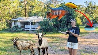 Moving from the City to Acreage! (with all my fish)