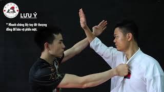 Hướng dẫn võ thuật tự vệ cơ bản phần 3 (Basic martial arts self defense instructions - part 3)