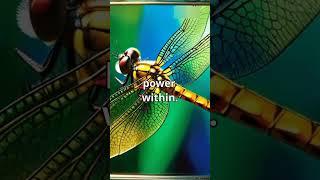 how dragonfly can change︎︎ #knowledgenest #youtubevideo  #animals #shortvideo  #dragon #motivation