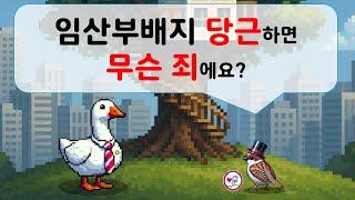 임산부배지 당근하면 무슨 죄예요?