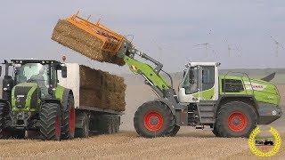 Claas Torion 1914, 1410 / Xerion 4000 / 2 Krone BigPack 1290 HDP II / AgrarLohn Müritz / Strohernte