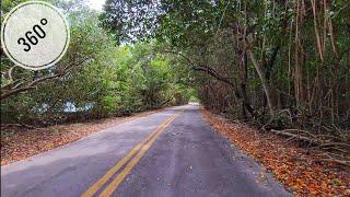 360° Wading Beach Canoe Matheson Hammock Park , Winter Cycling Travel Tour , Miami FL  February 2025