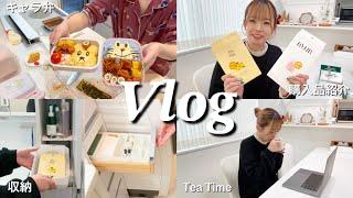 〖Vlog〗とある日の平日キャラ弁/家事/メガ割/購入品/収納/気になっていた物