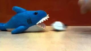 OMG real shark eats plane