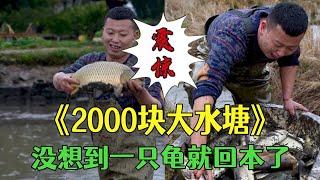 花2000塊包下壹個大水塘，沒想到壹只龜就回本了#三農 #農村生活  #戶外 #小飛哥#抓魚 vlog