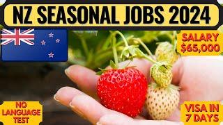 New Zealand Work Visa | New Zealand Seasonal Work Visa | New Zealand | Dream Canada