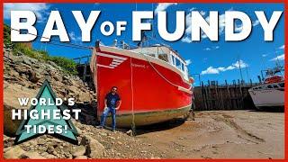  Bay of Fundy Tides are INCREDIBLE! Where to See World's Highest Tides | Newstates, eh?  Ep. 10