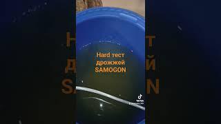 Hard тест дрожжей Samogon. #алкоголь #дистиллят #брага #дрожжи #тест #самогон