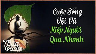 Cuộc Sống Vội Vã - Kiếp Người Qua Nhanh - Mưa Radio