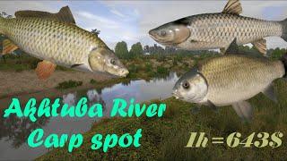 Akhtuba River carp spot rf4 | Rzeka Achtuba karp spot rf4