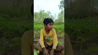 KAYDANJ KANA BIN  | santali video