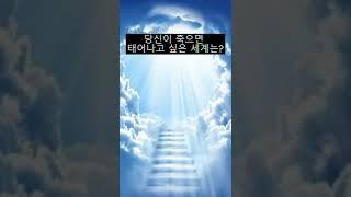 당신이 죽으면 태어나고 싶은 세계는? #3 #shorts