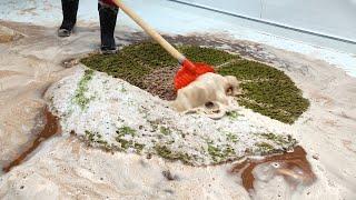 The Most Satisfying ASMR Carpet Scraping Video!