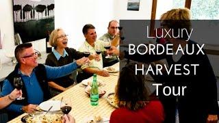 Luxury Bordeaux Harvest Tour with French Wine Explorers