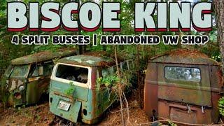 BISCOE KING | 4 VW SPLIT BUS FIND | EP 18 | SHORT HAULS | ABANDONED VW SHOP | graysvws