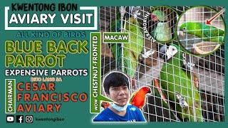 EXPENSIVE & RARE PARROTS COLLECTION NI CESAR FRANCISCO | FARM VISIT | AVIARY VISIT | MACAW | SC IRN