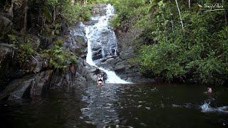 The Sauzier waterfall in Mahé, Seychelles