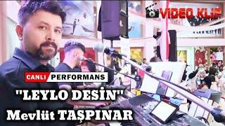 Leylo Desin - MEVLÜT TAŞPINAR #cover #türkü