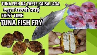 Tuna Fish Fry | Tuna Fish Review |Tuna Fish Ka Taste Kaisa Laga #tunafish #fishmarket @juwerianihal