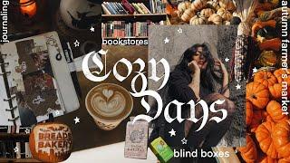 cozy days  journaling, yapping, bookstores & cafes, blind boxes  no.036