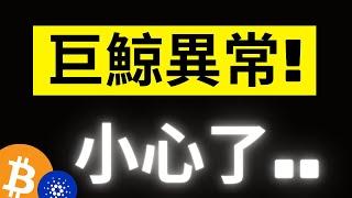 比特幣下殺5000美金! 巨鯨數據出現異常..注意了! ETH重點關注3000，ADA最好能這樣走.. #eth #ada