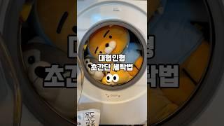 대형인형 초간단 세탁법