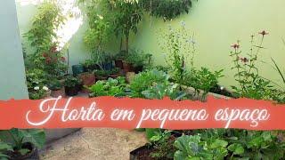 Horta em vasos é pequenos espaços  / Cultivando e aprendendo