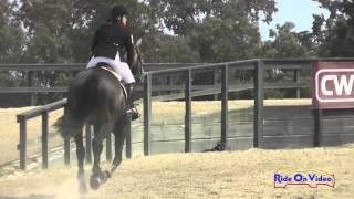 199S Ashley Shrader on Skyy's The Limit SR Novice Show Jumping Woodside August 2015