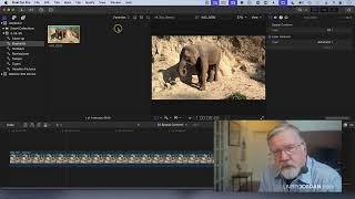 Need to Organize Media in Final Cut Pro? I have tips!