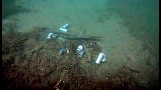 Teen diver says mounds of trash found underwater in Toronto's Humber Bay