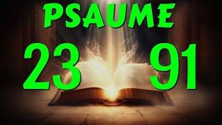 PSAUME 91 ET PSAUME 23 POUR RECEVOIR LA PROSPÉRITÉ ET LA PROTECTION DU SEIGNEUR