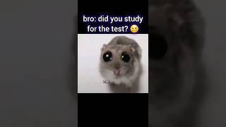 MEME COMPILATION 68  #youlaughyoulose #memecompilation #funnycompilation #memes