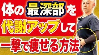 【体脂肪が激減】ぽっこりお腹を解消して肩甲骨剥がしまでコレ一つでできる神技ケア！（お腹痩せ・下半身太り・肩こり・腰痛・バストアップ・代謝アップ・ダイエット）