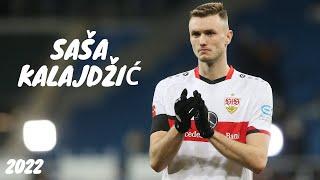 Sasa Kalajdzic 2022 ● Best Goals and Skills [HD]