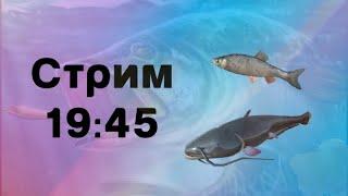 Играем в турниры! | Ultimate Fishing Simulator | рыбалка