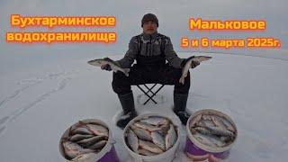 БЕШЕНЫЙ КЛЁВ ПЛОТВЫ!СУПЕР РЫБАЛКА НА БУХТАРМИНСКОМ ВОДОХРАНИЛИЩЕ.