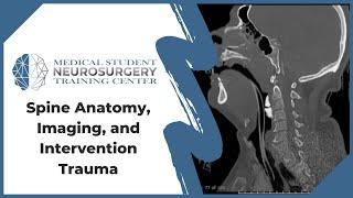 Spine Anatomy, Imaging, and Intervention Trauma