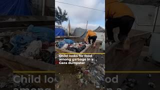 Child looks for food among garbage in a Gaza dumpster | AJ #shorts