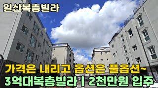 [일산복층빌라] 일산에도 3억대 복층빌라 있습니다 2천만원 입주ㅣ일산동구 성석동 신축빌라 분양