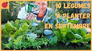 10 légumes à planter en septembre au potager !