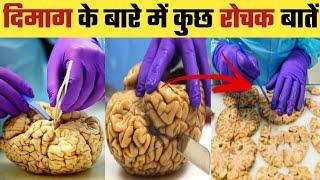 Amazing Facts about Brain | Facts about Human Brain | Amazing Facts | #shorts