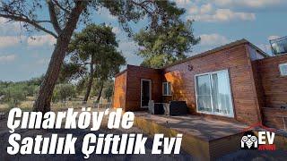 Kuşadası Çınarköy'de Satılık Çiftlik Evi