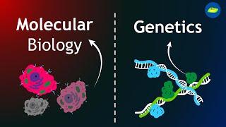 Molecular Biology vs Genetics | Scope | Opportunities | Basic Science Series