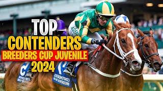 Top 5 Contenders for the 2024 Breeders' Cup Juvenile