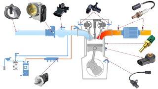 Introducing Engine Sensors Diagnostic Online Course | All Engine Sensors Explained
